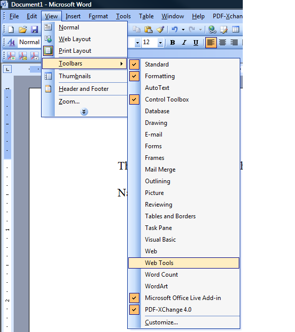 Microsoft Word 2010 Equation Tools